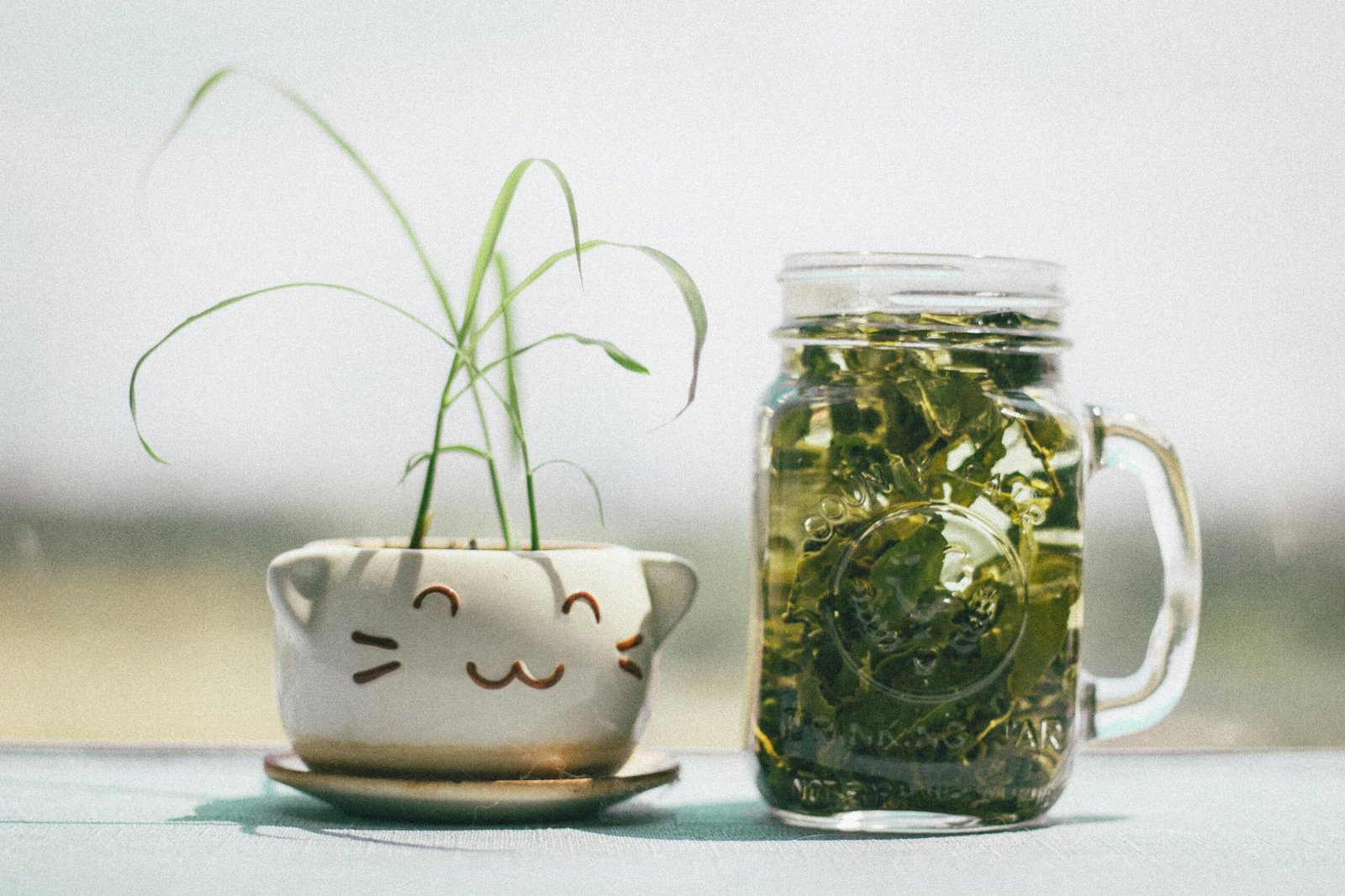 A cute cat-themed planter next to a mason jar of fresh herbal tea, exuding a natural and healthy vibe.